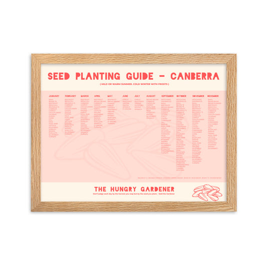 Seed Planting Guide - Canberra