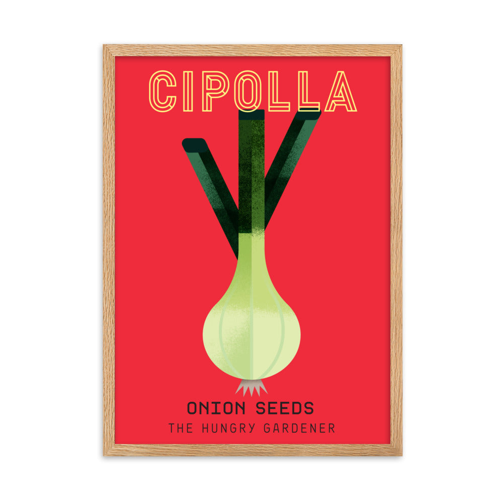 Framed Onion Poster-The Hungry Gardener