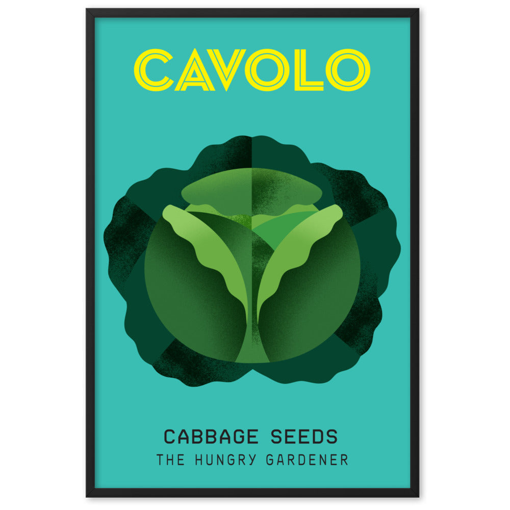 Framed Cabbage Poster-The Hungry Gardener