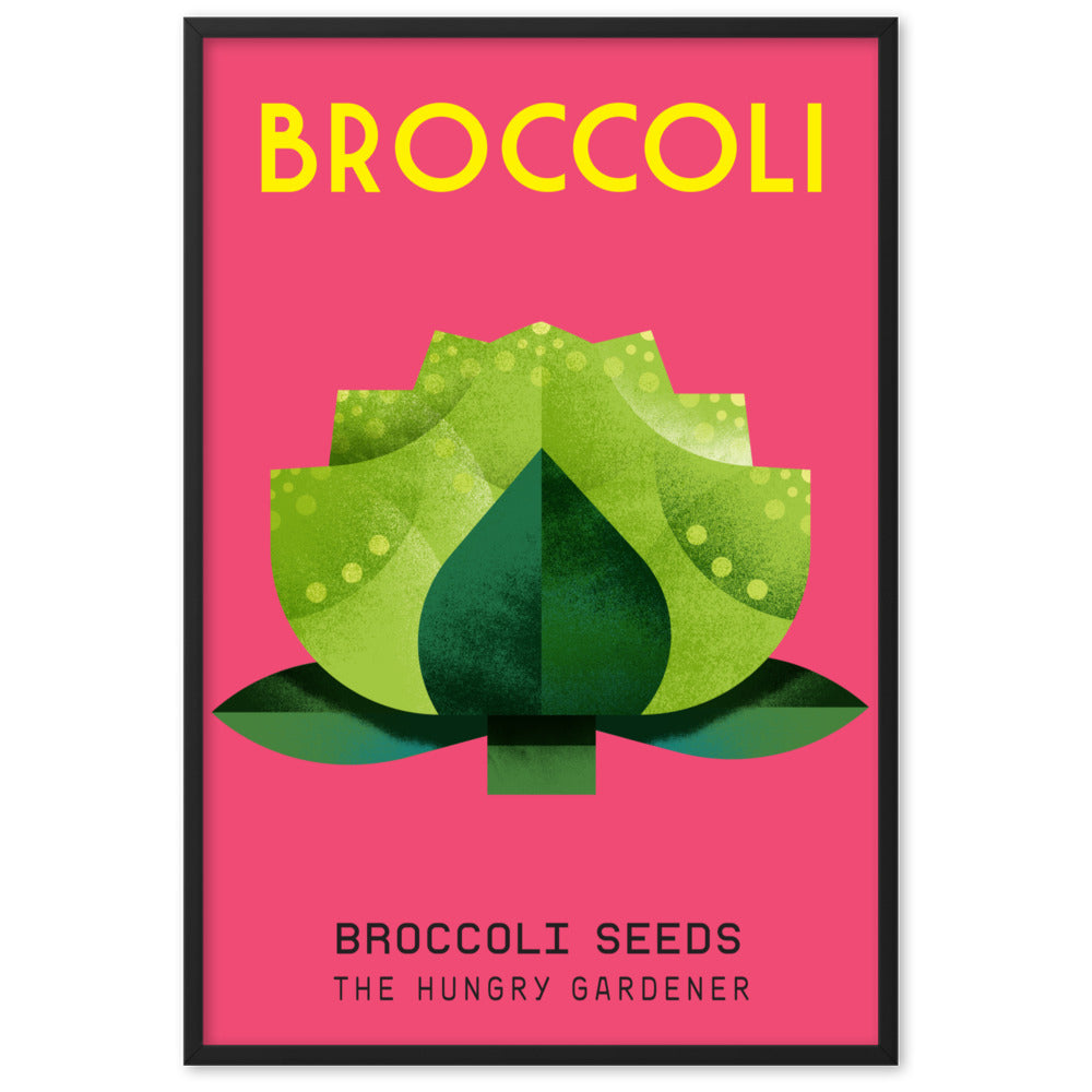 Framed Broccoli poster-The Hungry Gardener