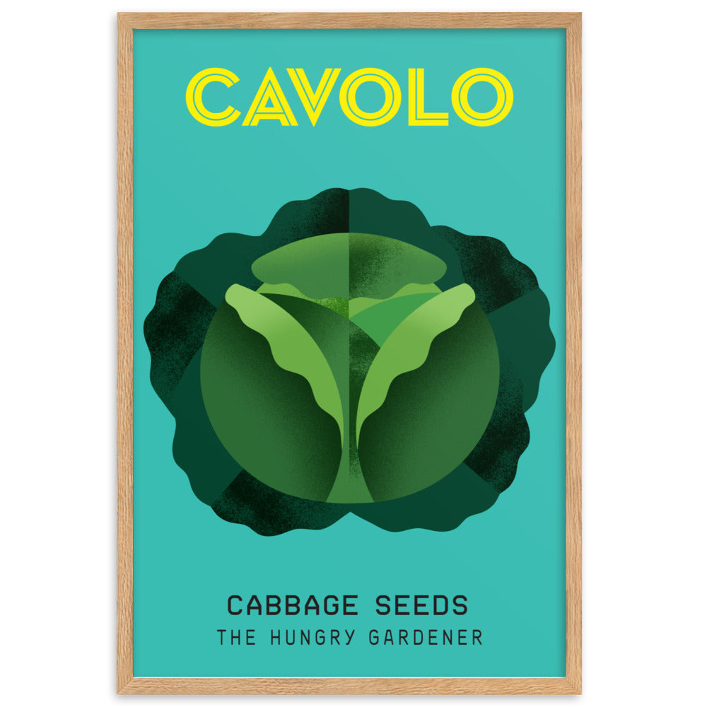 Framed Cabbage Poster-The Hungry Gardener