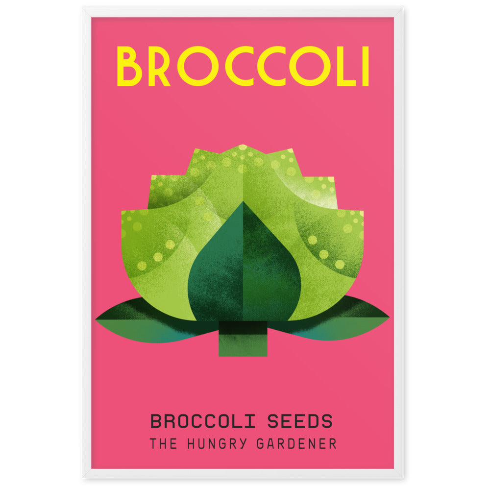 Framed Broccoli poster-The Hungry Gardener