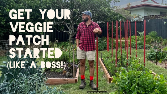 Get Your Veggie Patch Started (Like a Boss!)