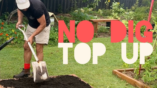 How to Top Up your Garden Bed - No Dig Method-The Hungry Gardener