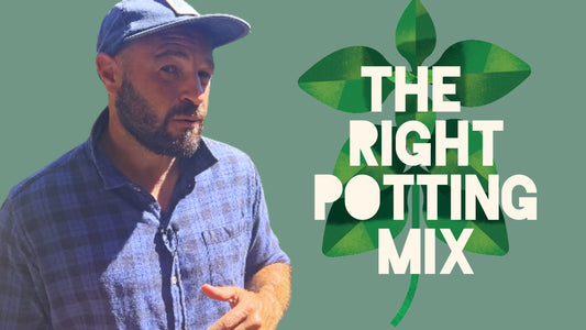 Choosing the Right Potting Mix-The Hungry Gardener